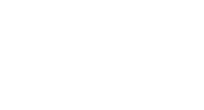 Skyrise Media Logo